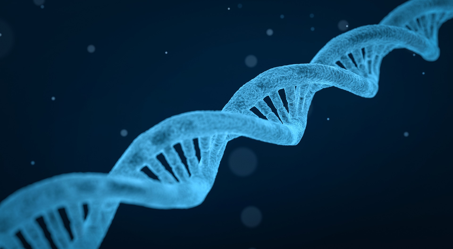COSA ASPETTARSI DA UNA BUONA TRADUZIONE IN CAMPO MEDICALE