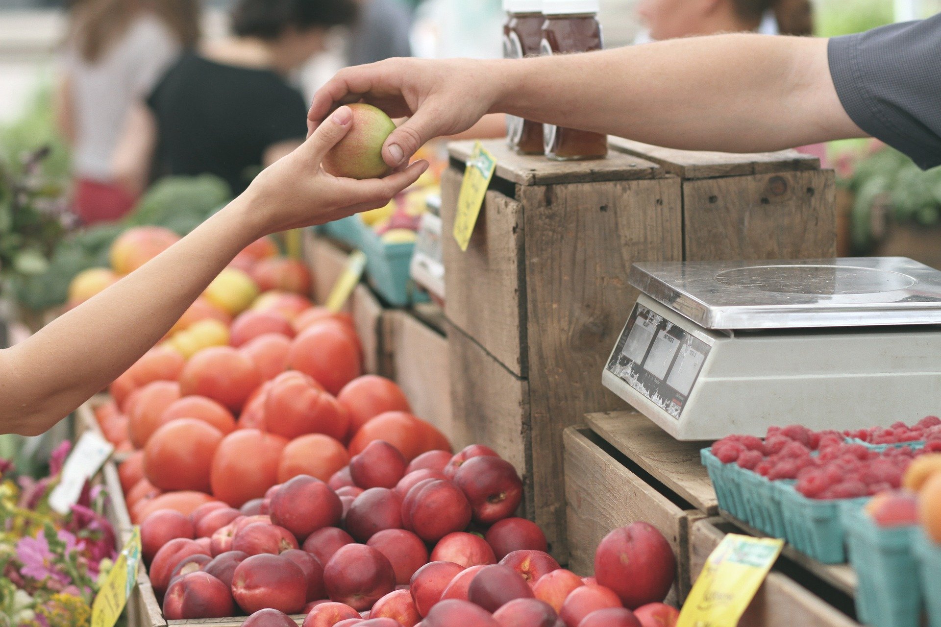 DER WOCHENMARKT DER ÜBERSETZUNGEN