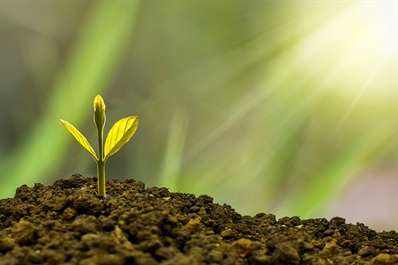 MEDICAL TRANSLATION: FUTURE PROSPECTS OF A HIGH-GROWTH SECTOR